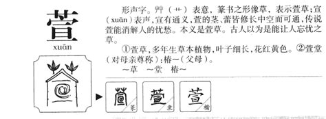 萱的五行|萱字五行属什么 萱字取名的含义